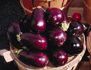 panier d'aubergines culture de l'aubergine