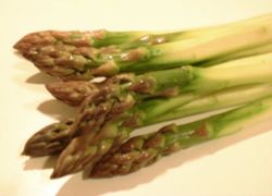 botte d'asperges culture de l'asperge