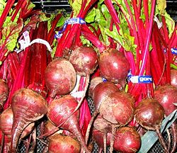 botte de betteraves rouges culture de la beterave