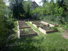 potager en carre potager en carre